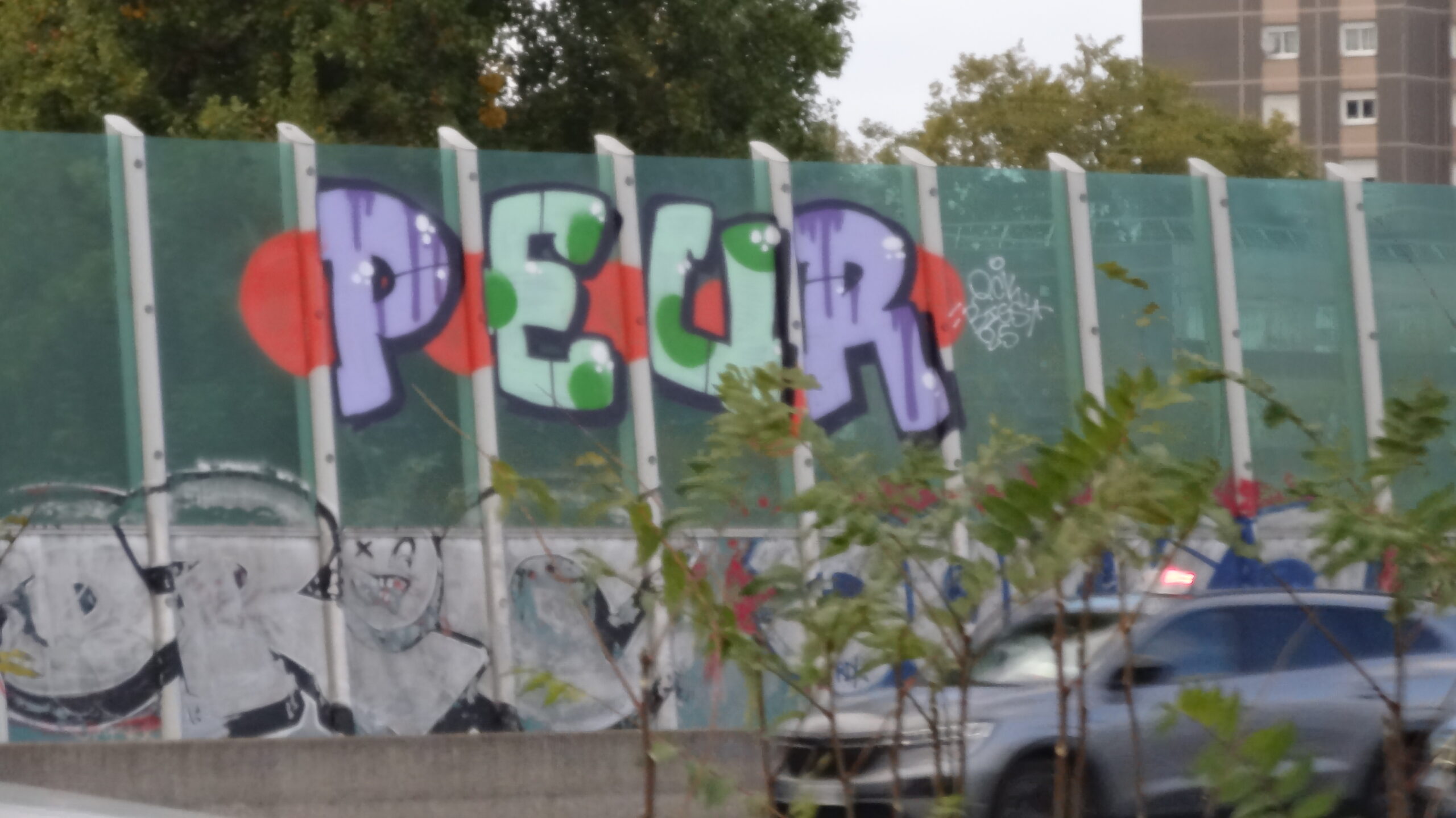 Arte Urbana e Espaço Público